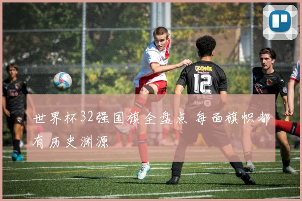 世界杯32强国旗全盘点 每面旗帜都有历史渊源