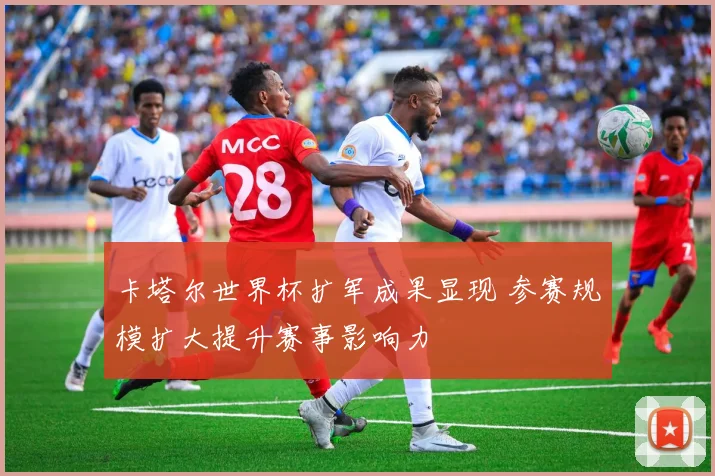 卡塔尔世界杯扩军成果显现 参赛规模扩大提升赛事影响力